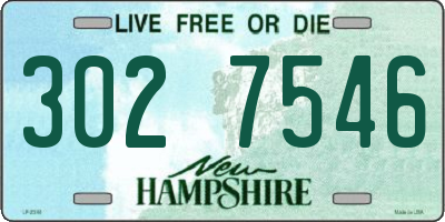 NH license plate 3027546