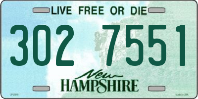 NH license plate 3027551