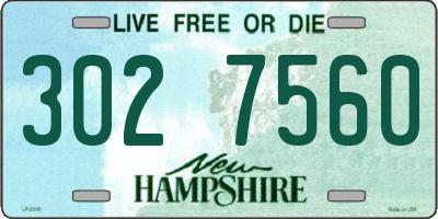 NH license plate 3027560