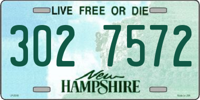 NH license plate 3027572