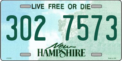 NH license plate 3027573