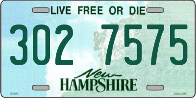 NH license plate 3027575