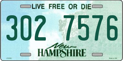NH license plate 3027576