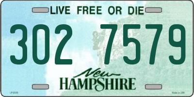 NH license plate 3027579