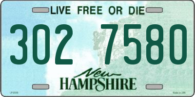 NH license plate 3027580
