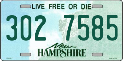 NH license plate 3027585