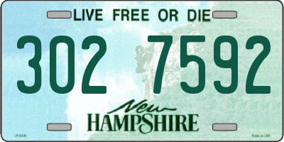 NH license plate 3027592