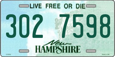 NH license plate 3027598