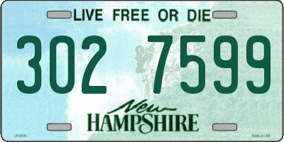 NH license plate 3027599
