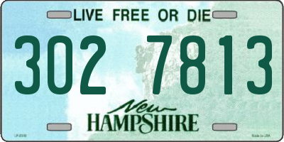 NH license plate 3027813