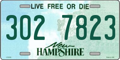 NH license plate 3027823