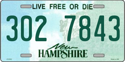 NH license plate 3027843