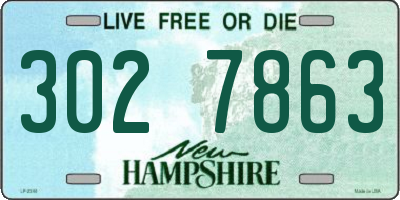 NH license plate 3027863