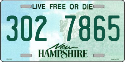 NH license plate 3027865