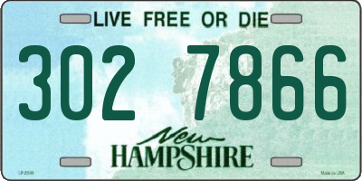 NH license plate 3027866