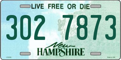 NH license plate 3027873