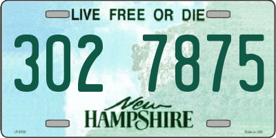 NH license plate 3027875
