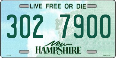 NH license plate 3027900