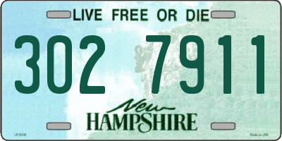 NH license plate 3027911