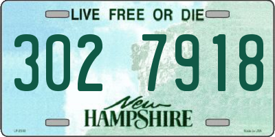 NH license plate 3027918