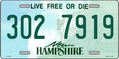 NH license plate 3027919