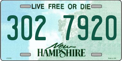 NH license plate 3027920