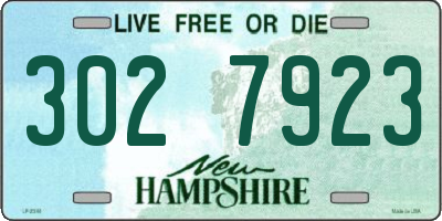 NH license plate 3027923