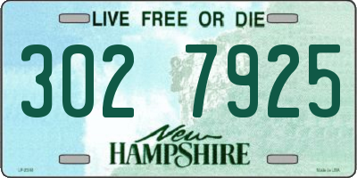 NH license plate 3027925