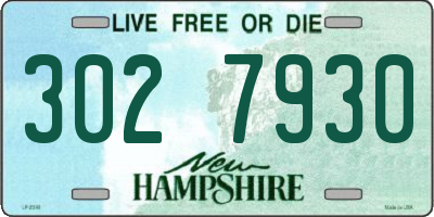 NH license plate 3027930
