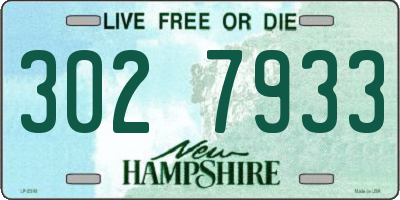 NH license plate 3027933