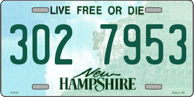NH license plate 3027953