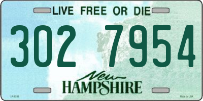 NH license plate 3027954