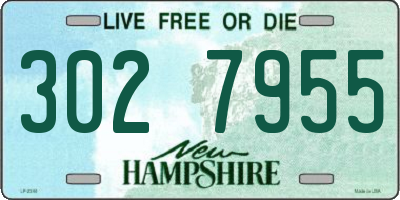 NH license plate 3027955