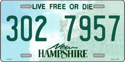 NH license plate 3027957