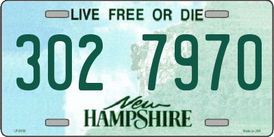 NH license plate 3027970