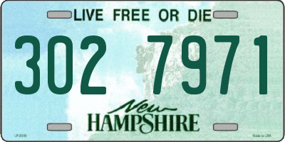NH license plate 3027971