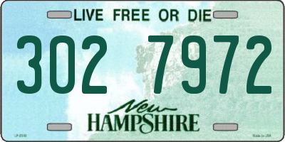NH license plate 3027972