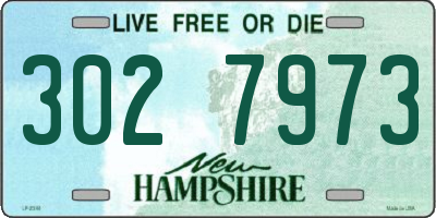 NH license plate 3027973