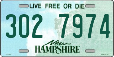 NH license plate 3027974