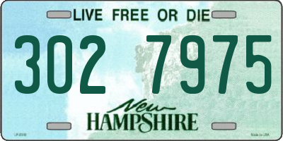 NH license plate 3027975