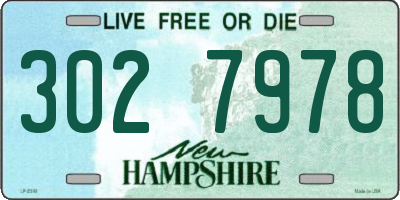 NH license plate 3027978