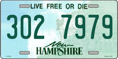 NH license plate 3027979