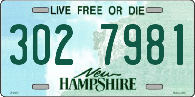 NH license plate 3027981