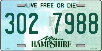 NH license plate 3027988
