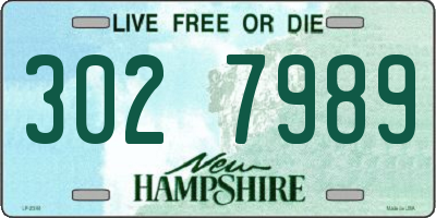 NH license plate 3027989