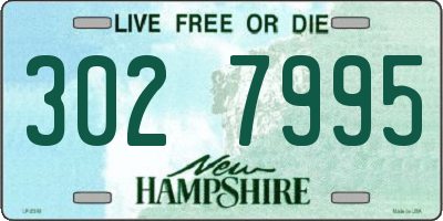 NH license plate 3027995