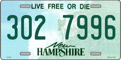 NH license plate 3027996