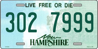 NH license plate 3027999