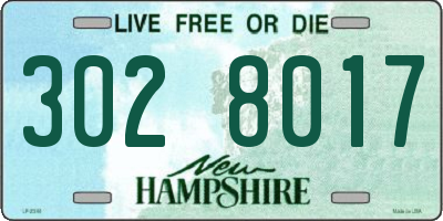 NH license plate 3028017