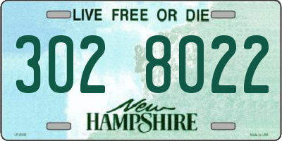 NH license plate 3028022